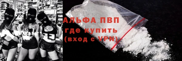 СК Богородицк